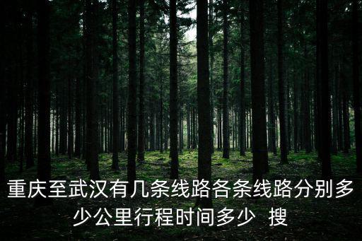 重慶至武漢有幾條線路各條線路分別多少公里行程時(shí)間多少  搜