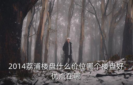 2014荔浦樓盤什么價位哪個樓盤好優(yōu)點在哪