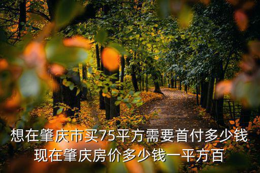想在肇慶市買75平方需要首付多少錢現在肇慶房價多少錢一平方百