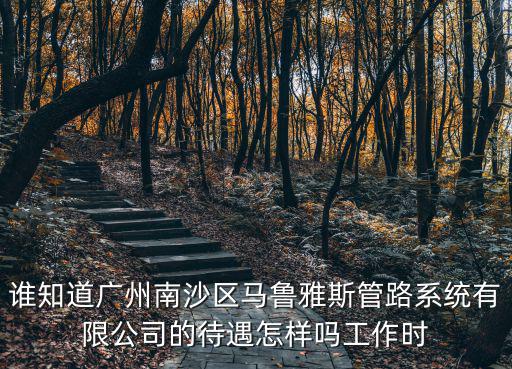 誰知道廣州南沙區馬魯雅斯管路系統有限公司的待遇怎樣嗎工作時