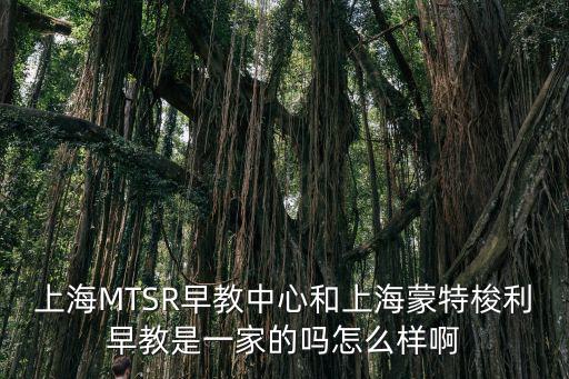 上海肖玉榮，上海MTSR早教中心和上海蒙特梭利早教是一家的嗎怎么樣啊