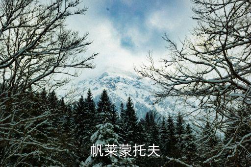 萊蒙托夫,《假面舞會》是萊蒙托夫戲劇創(chuàng)作最高成就