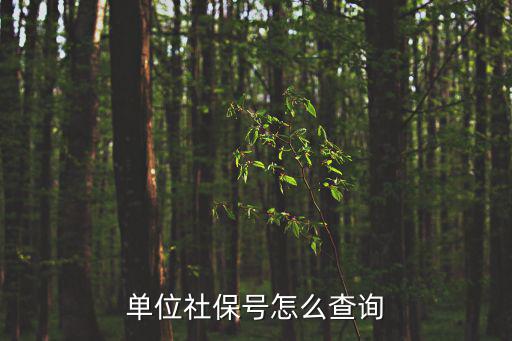 單位社保號(hào)怎么查詢