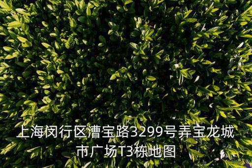 上海閔行區漕寶路3299號弄寶龍城市廣場T3棟地圖