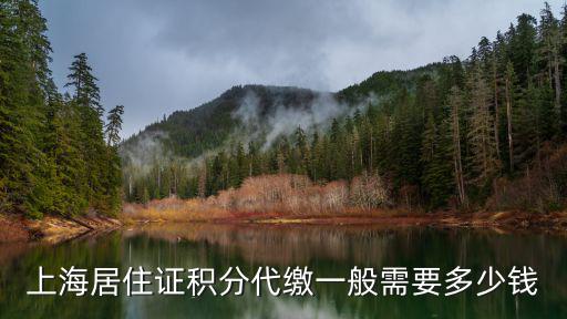 上海居住證積分代繳一般需要多少錢
