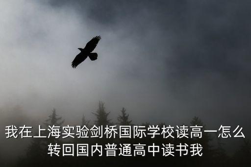 我在上海實驗劍橋國際學校讀高一怎么轉回國內普通高中讀書我
