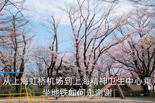 從上海虹橋機(jī)場到上海精神衛(wèi)生中心乘坐地鐵如何走謝謝