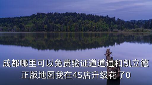 成都哪里可以免費驗證道道通和凱立德正版地圖我在4S店升級花了0