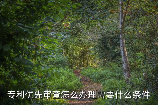 上海市知識產權局優先審查，專利優先審查有哪些流程