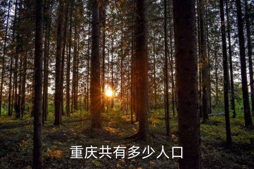 重慶市人口2019統計，重慶共有多少人口