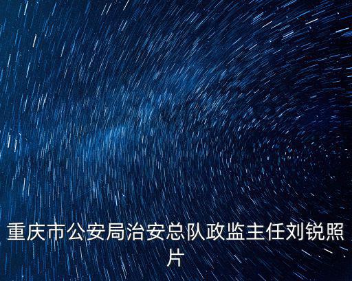 重慶市公安局治安總隊政監主任劉銳照片