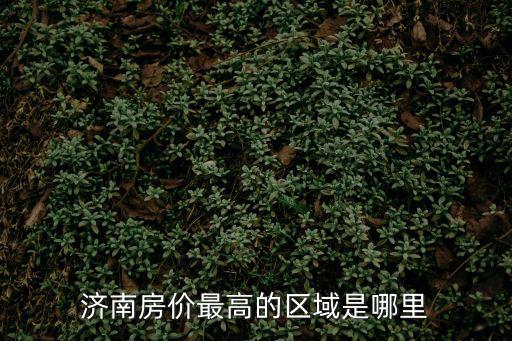 濟南房價最高的區域是哪里