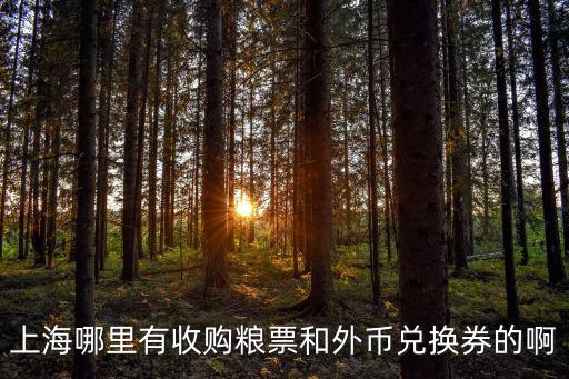 上海市什么地方回收外幣，上海哪里收購(gòu)?fù)鈪R