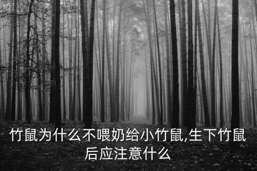 竹鼠為什么不喂奶給小竹鼠,生下竹鼠后應注意什么