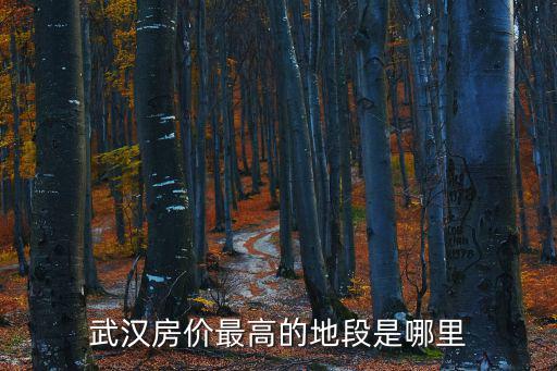 武漢房價最高的地段是哪里
