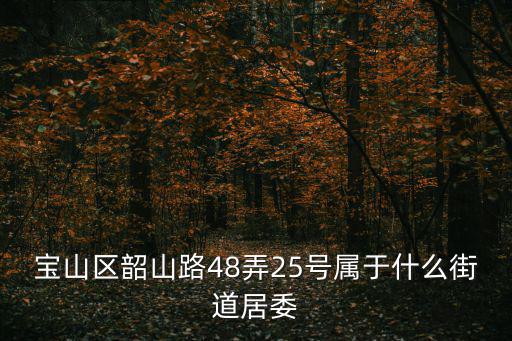 寶山區(qū)韶山路48弄25號屬于什么街道居委