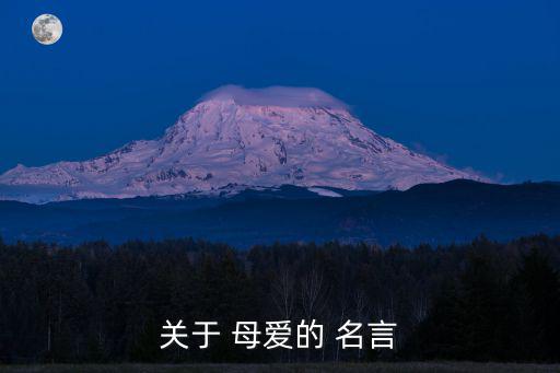 關于 母愛的 名言