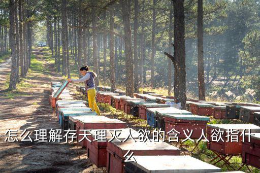 存天理滅人欲什么意思,存天理，滅人欲是朱熹哲學(xué)思想的核心