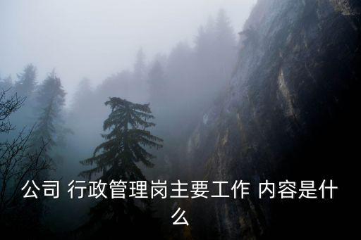 公司 行政管理崗主要工作 內容是什么