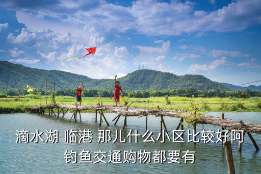 滴水湖 臨港 那兒什么小區(qū)比較好阿釣魚交通購物都要有
