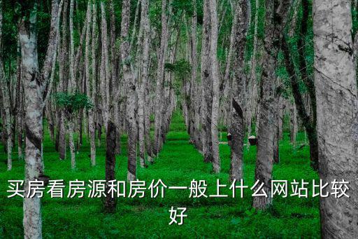 買房看房源和房價一般上什么網站比較好
