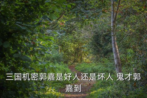 三國機密郭嘉是好人還是壞人 鬼才郭嘉到