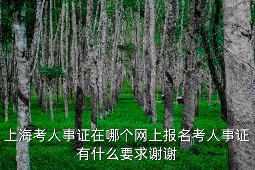 上?？既耸伦C在哪個(gè)網(wǎng)上報(bào)名考人事證有什么要求謝謝