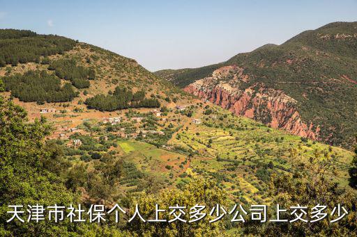 天津市社保個(gè)人上交多少公司上交多少