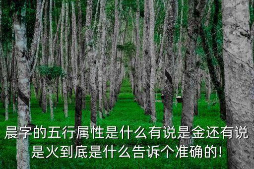 晨字的五行屬性是什么有說(shuō)是金還有說(shuō)是火到底是什么告訴個(gè)準(zhǔn)確的!