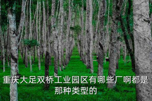 重慶大足雙橋工業(yè)園區(qū)有哪些廠啊都是那種類型的