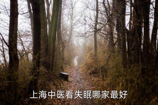 上海市中醫醫院睡眠障礙專科，上海中醫看失眠哪家最好