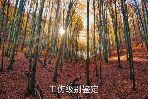 工傷級別鑒定