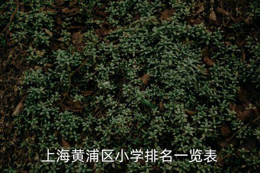 上海市黃浦區所有的小學排名，上海排名前十的小學