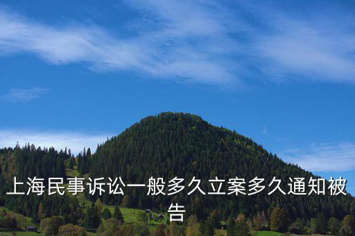 上海民事訴訟一般多久立案多久通知被告