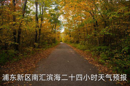 浦東新區南匯濱海二十四小時天氣預報