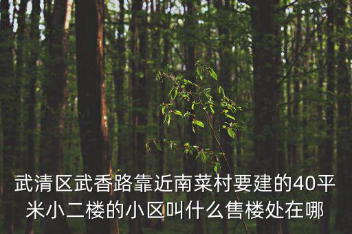 武清區武香路靠近南菜村要建的40平米小二樓的小區叫什么售樓處在哪