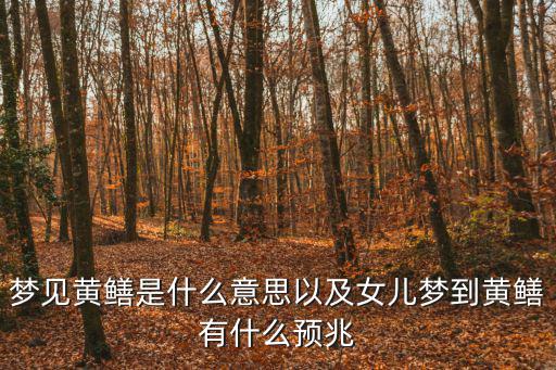 夢到黃鱔,夢里抓黃鱔意味著什么?