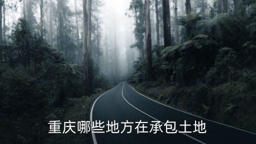 重慶哪些地方在承包土地