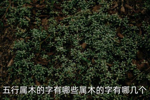 五行屬木的字有哪些屬木的字有哪幾個