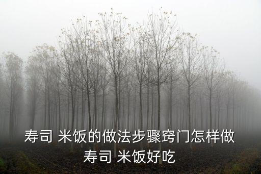  壽司 米飯的做法步驟竅門怎樣做 壽司 米飯好吃