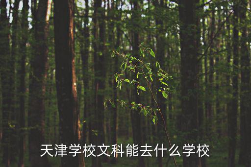 天津學校文科能去什么學校