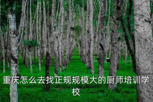 重慶怎么去找正規規模大的廚師培訓學校