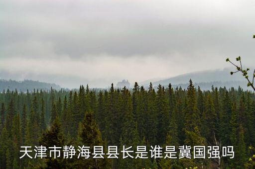 天津市靜海縣縣長是誰是冀國強嗎