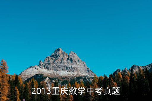 重慶市2006年數(shù)學(xué)中考卷，2013重慶數(shù)學(xué)中考真題