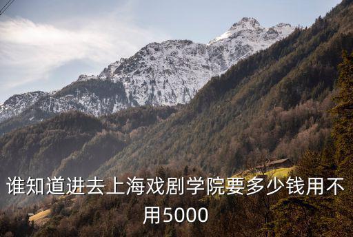 誰知道進去上海戲劇學院要多少錢用不用5000