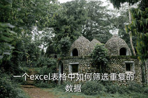 一個(gè)excel表格中如何篩選重復(fù)的數(shù)據(jù)