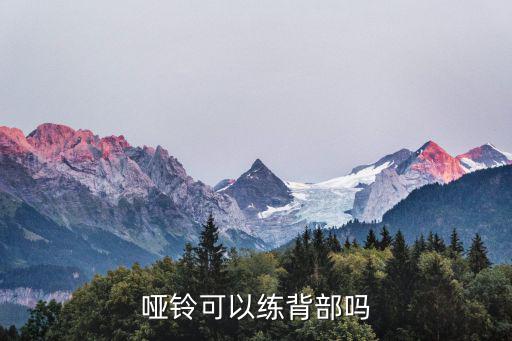 啞鈴可以練背部嗎