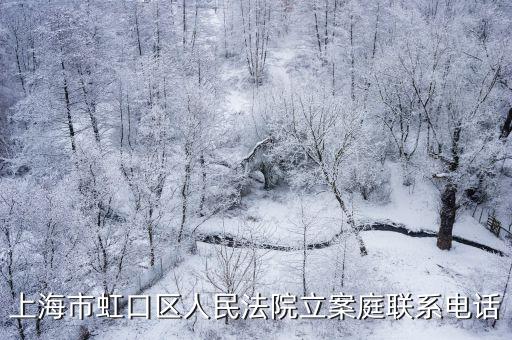 上海市虹口區人民法院立案庭聯系電話