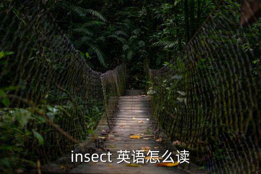 insect 英語怎么讀