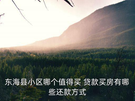 東海縣小區哪個值得買 貸款買房有哪些還款方式